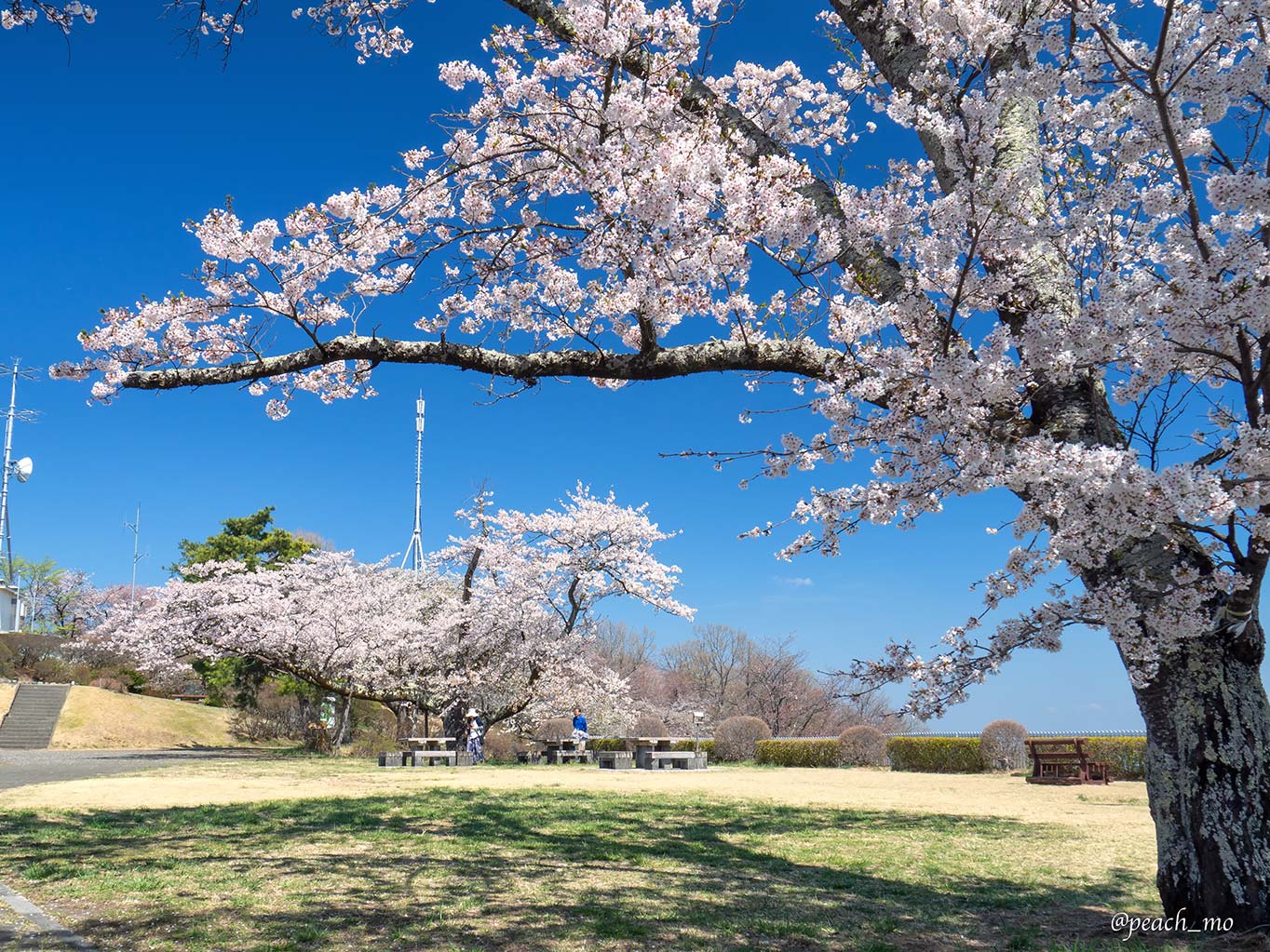 f:id:peach_mo:20191220193538j:plain