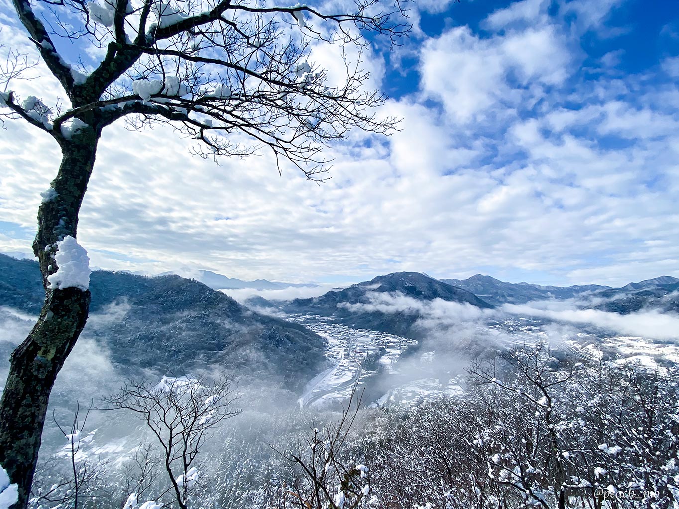 f:id:peach_mo:20191225121521j:plain