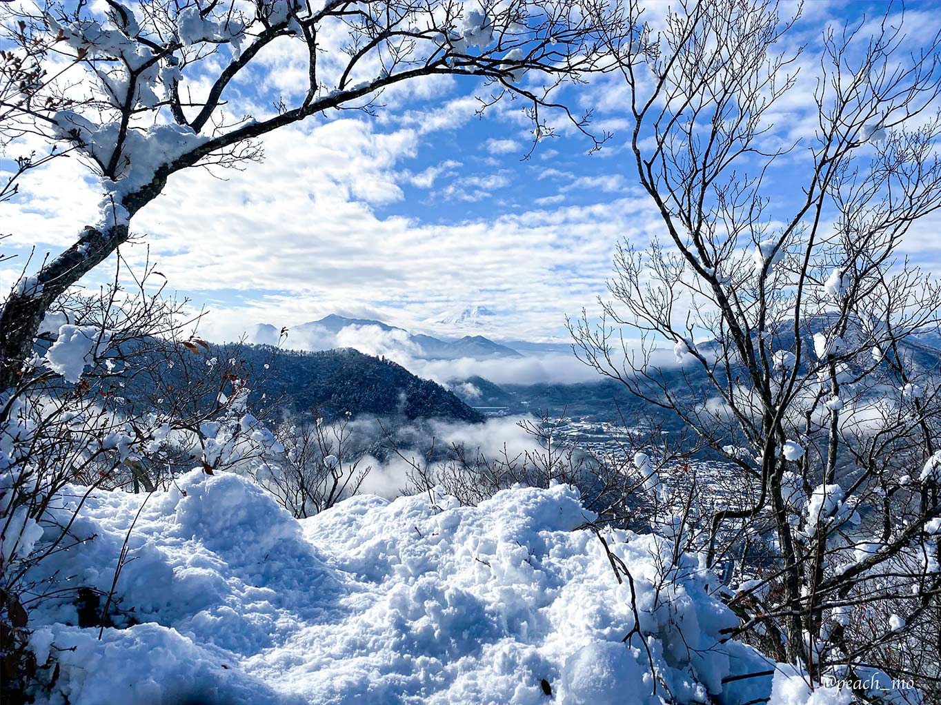 f:id:peach_mo:20191225121530j:plain
