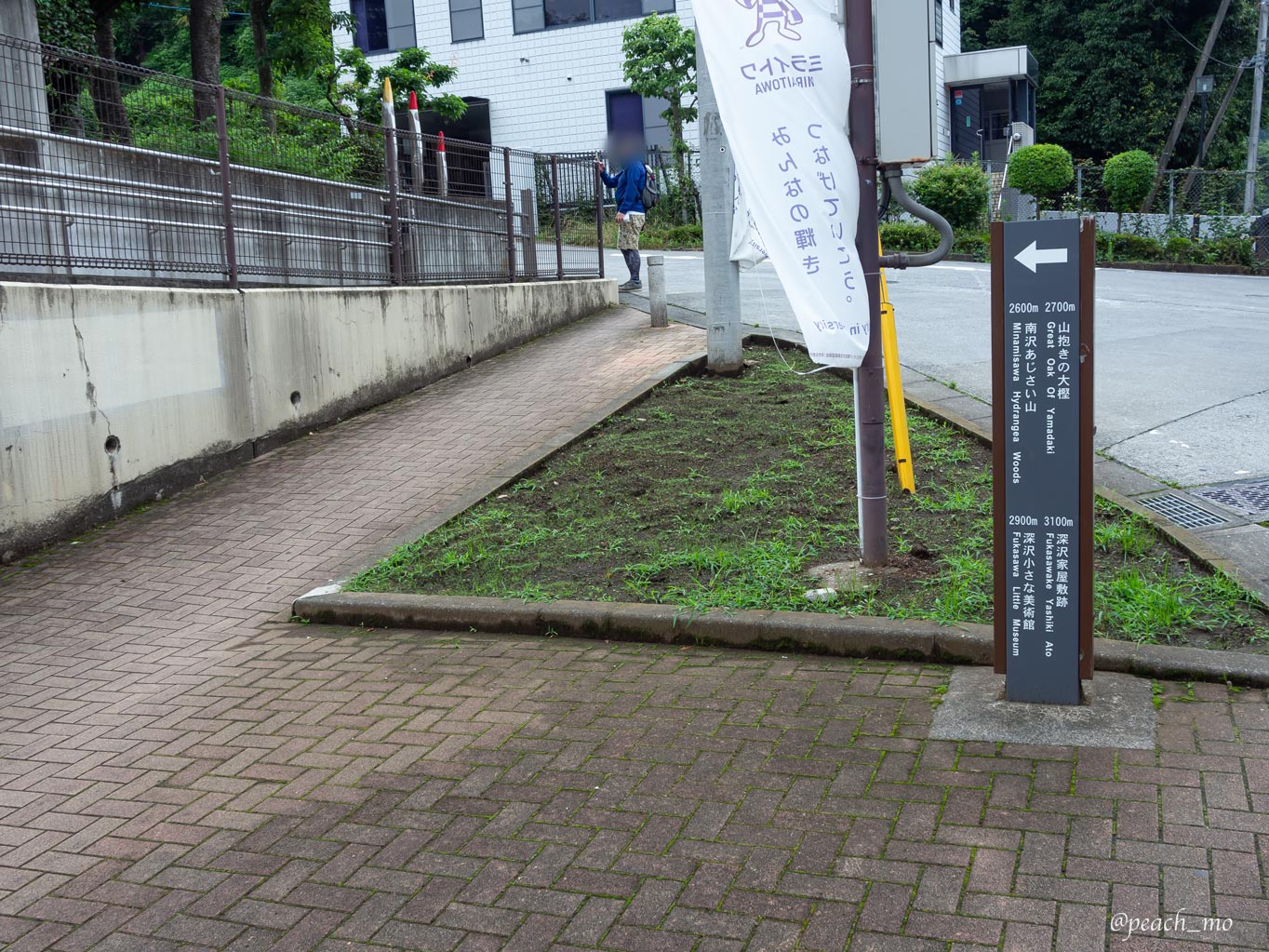 f:id:peach_mo:20200626181745j:plain
