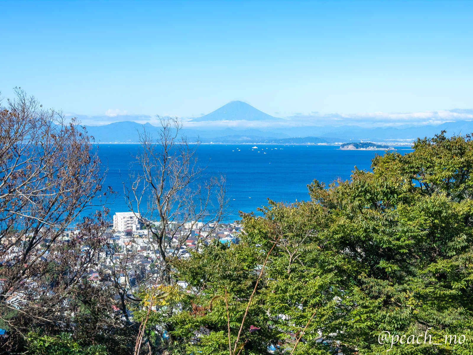 三浦半島の低山を歩く(2)｜葉山町・仙元山〜戸根山(ソッカ) - 今日は