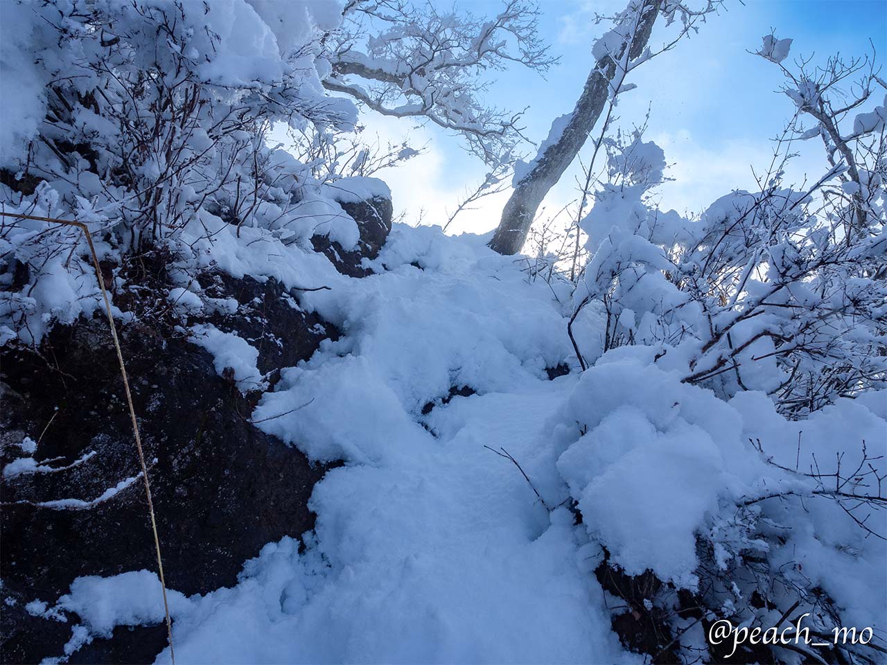 Snowfall magc snowing   秋の雪景色 Snowfall magc snowing 秋の雪景色