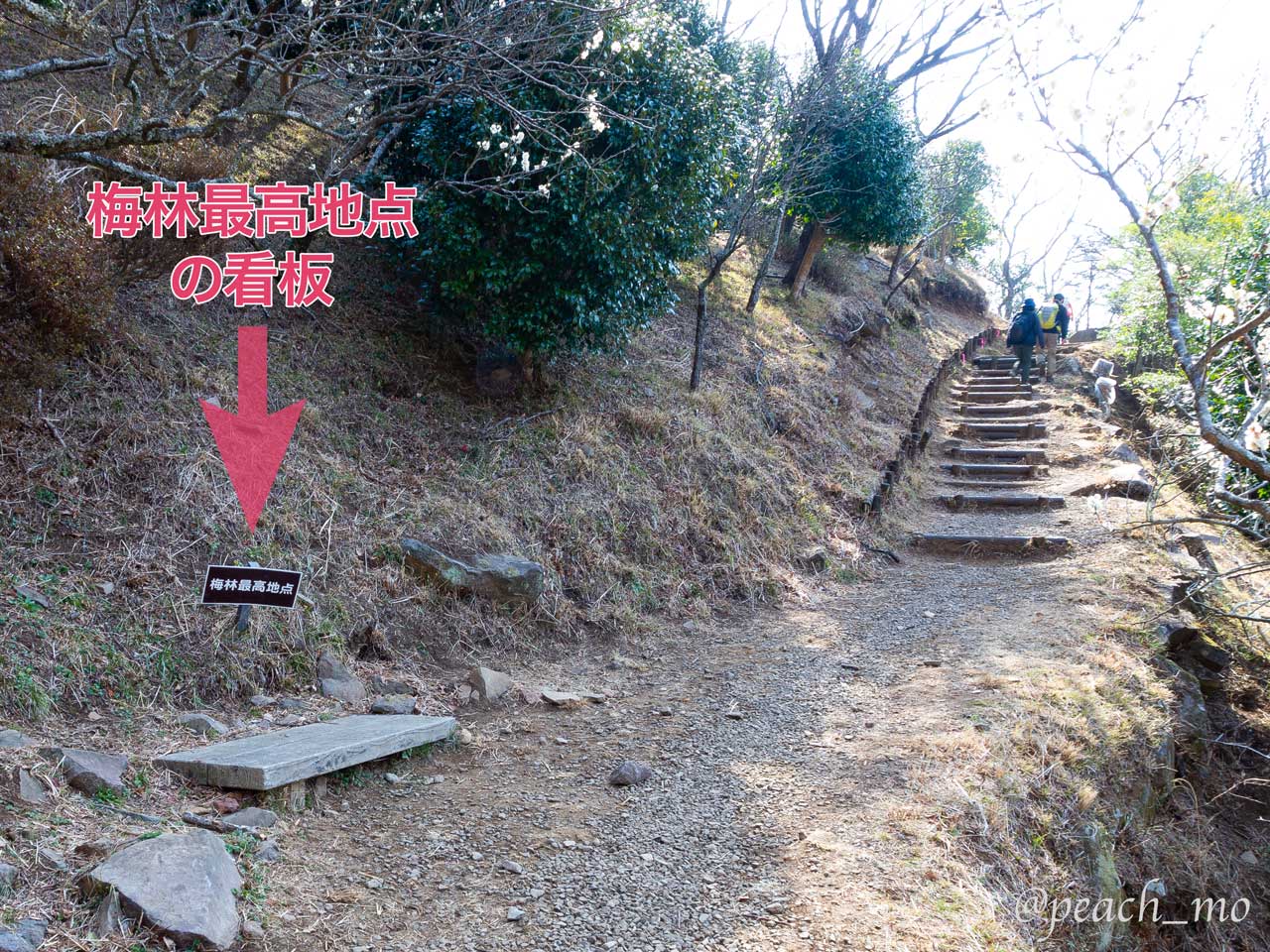 f:id:peach_mo:20220413125121j:plain