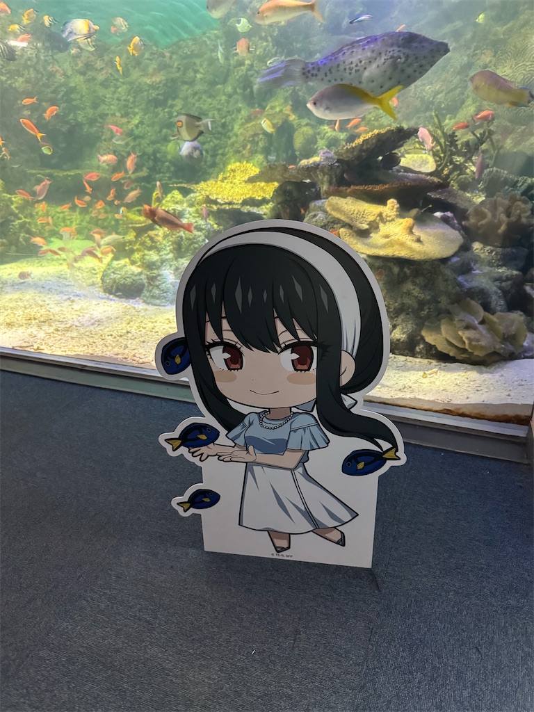 f:id:peach_yuki:20250915001428j:image f:id:peach_yuki:20250915001428j:image