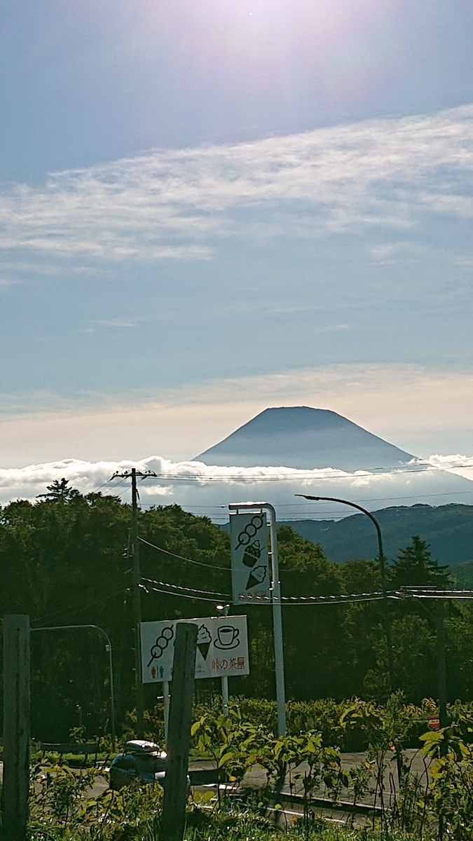 f:id:peachgrape:20200916213611j:plain