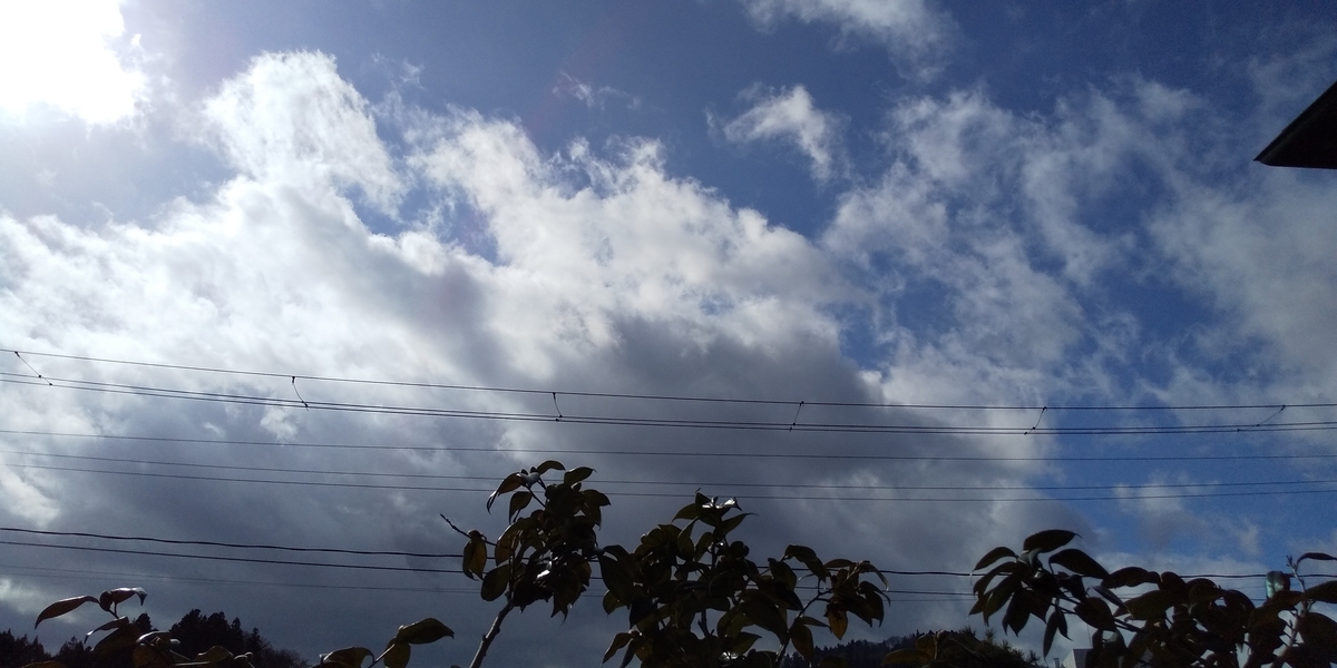 f:id:peachredrum:20210212130132j:plain