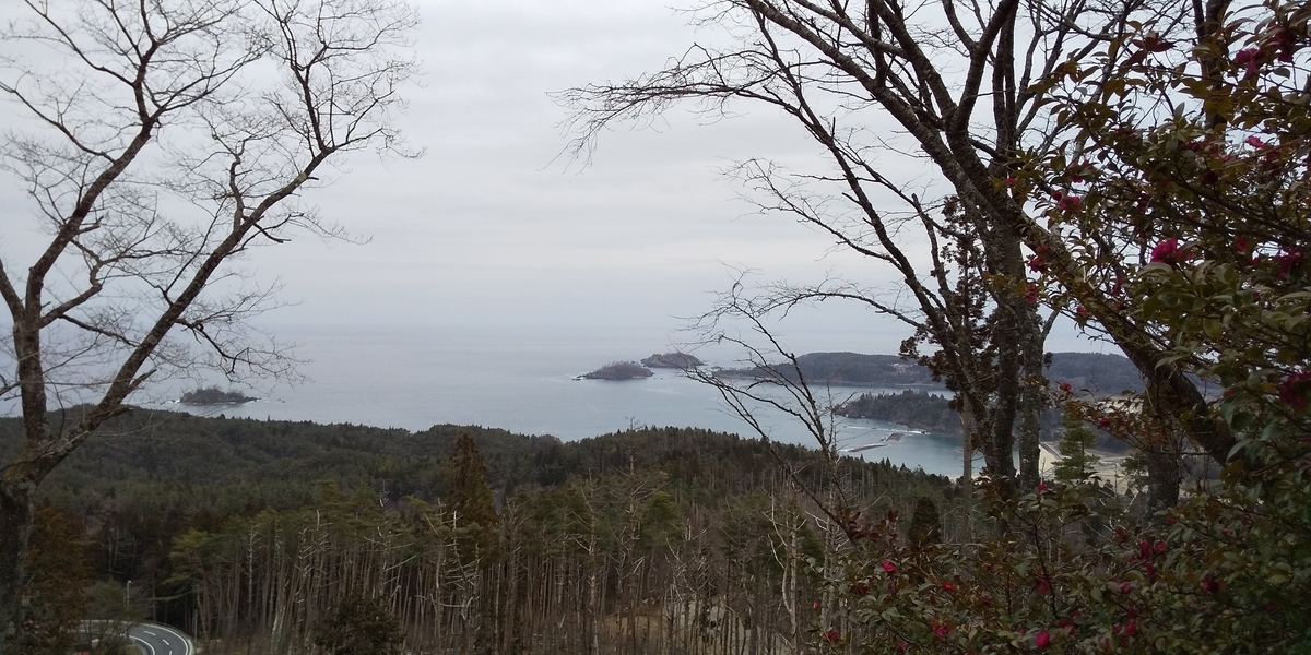 f:id:peachredrum:20210515103933j:plain