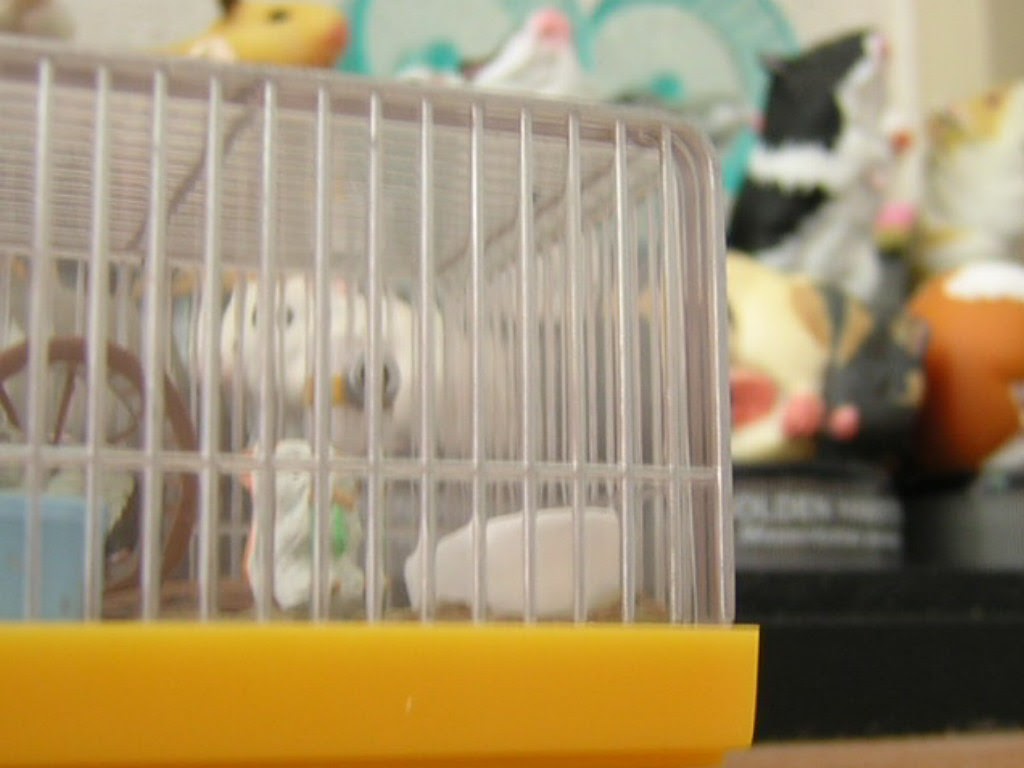 f:id:peachredrum:20210515111030j:plain