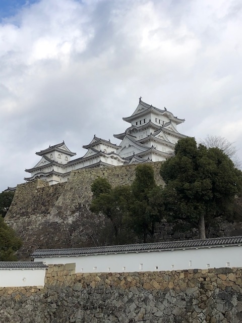 f:id:peanut05:20200529215213j:plain