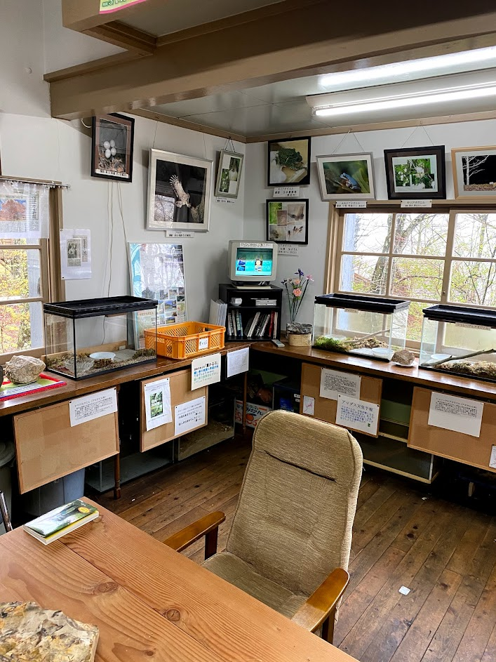 f:id:peanut05:20220227180449p:plain