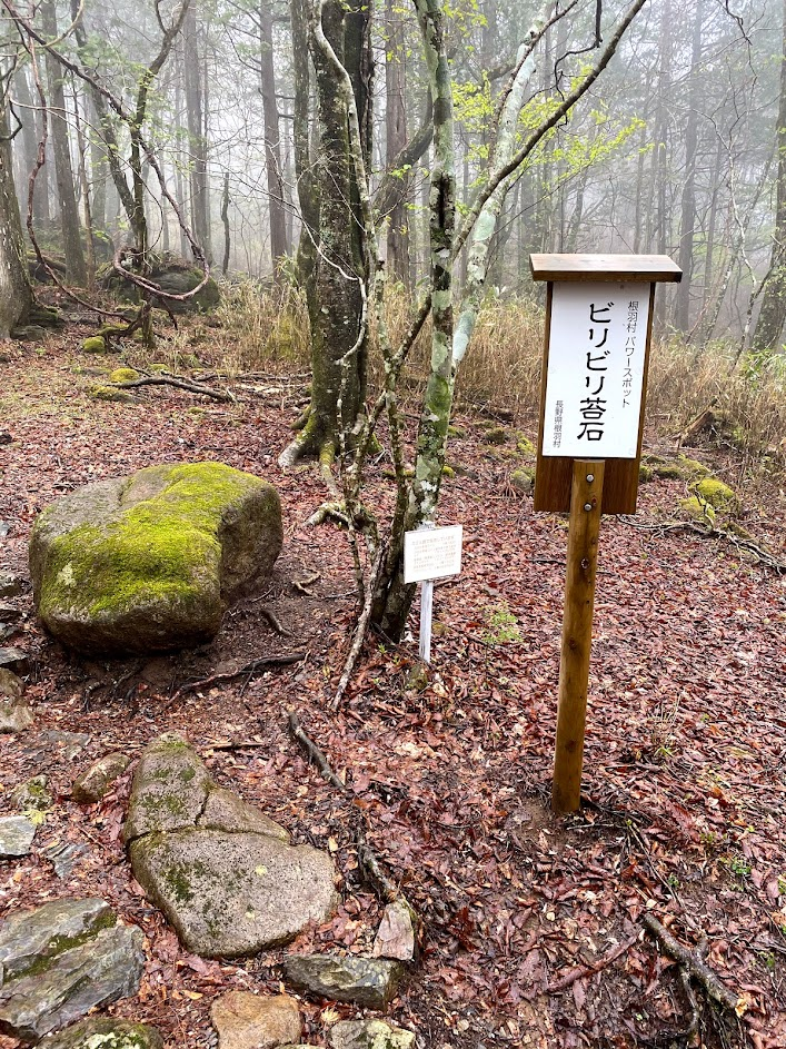 f:id:peanut05:20220227180520p:plain