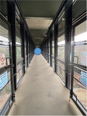 f:id:peanut05:20220409151233p:plain