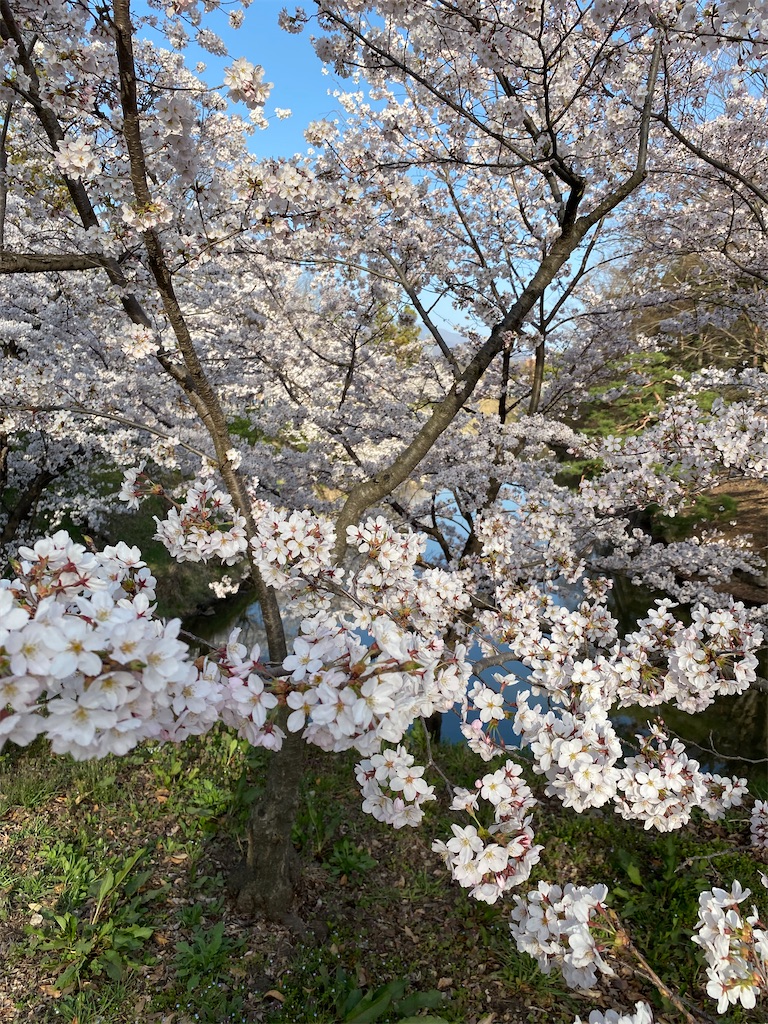 f:id:peanut05:20220410211943j:plain