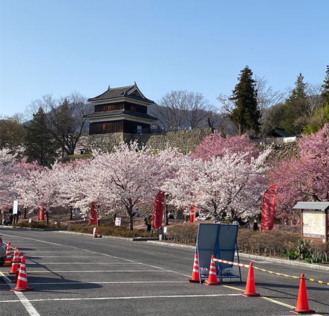 f:id:peanut05:20220412224630p:plain