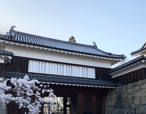 f:id:peanut05:20220413224438p:plain