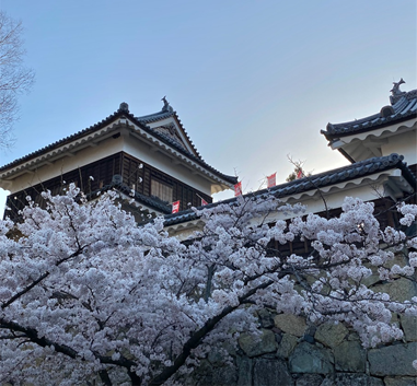 f:id:peanut05:20220413224753p:plain