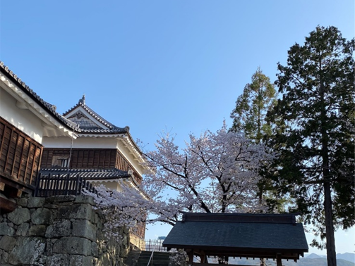 f:id:peanut05:20220414224508p:plain