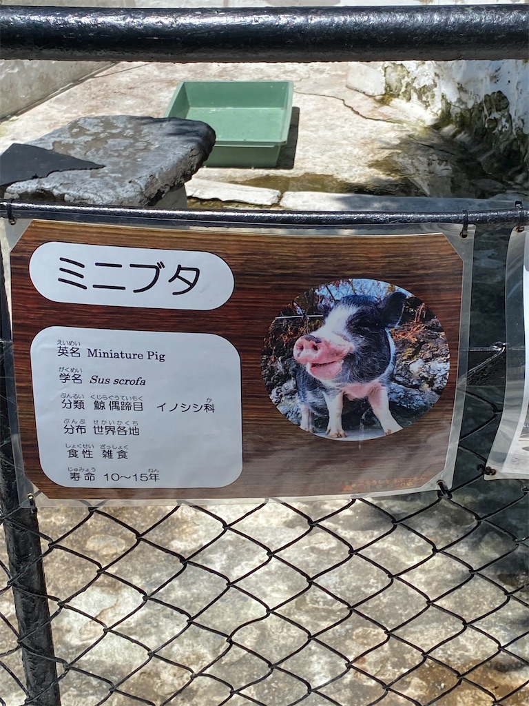f:id:peanut05:20220822174124j:image