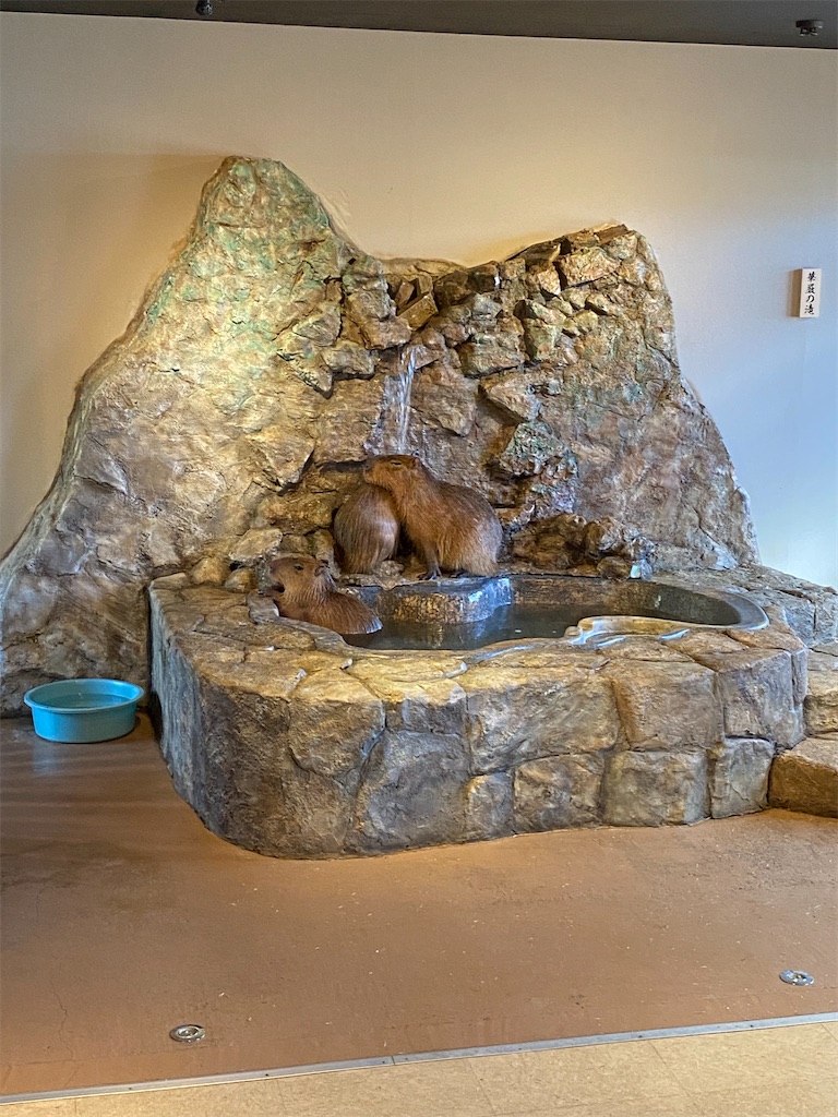 f:id:peanut05:20230204105432j:image