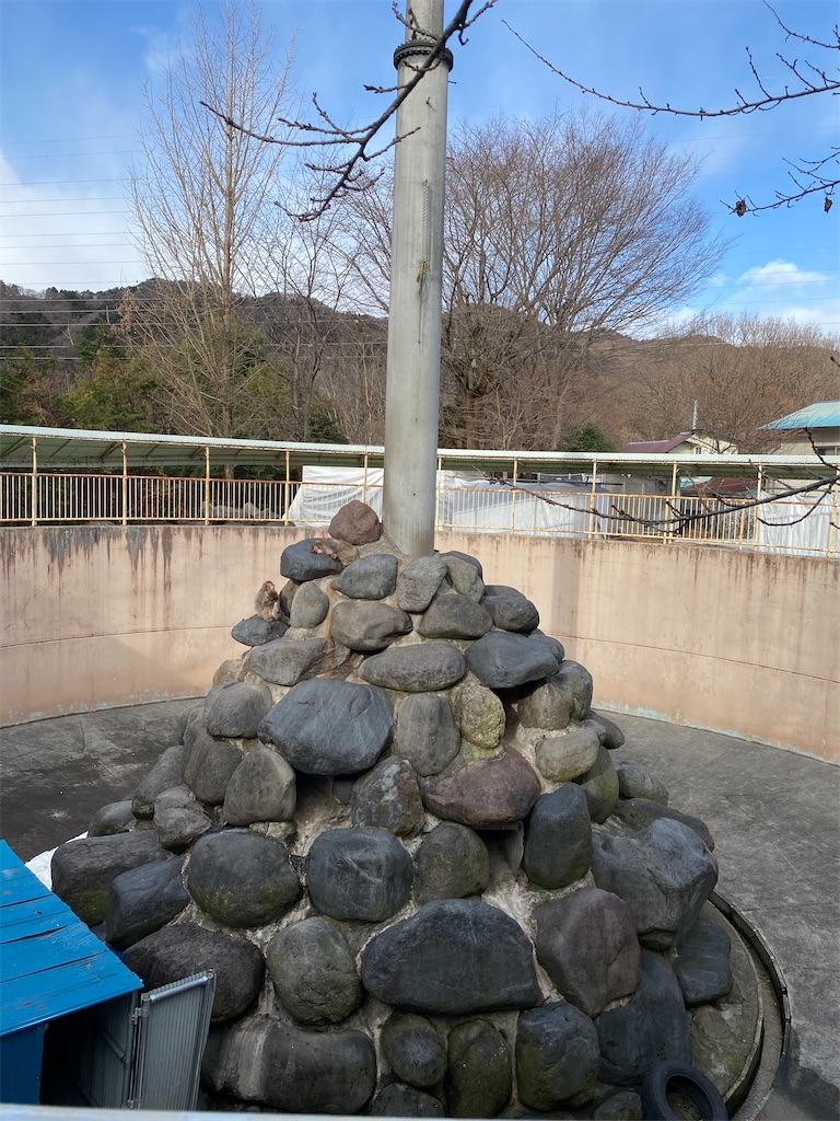 f:id:peanut05:20230204134320j:image