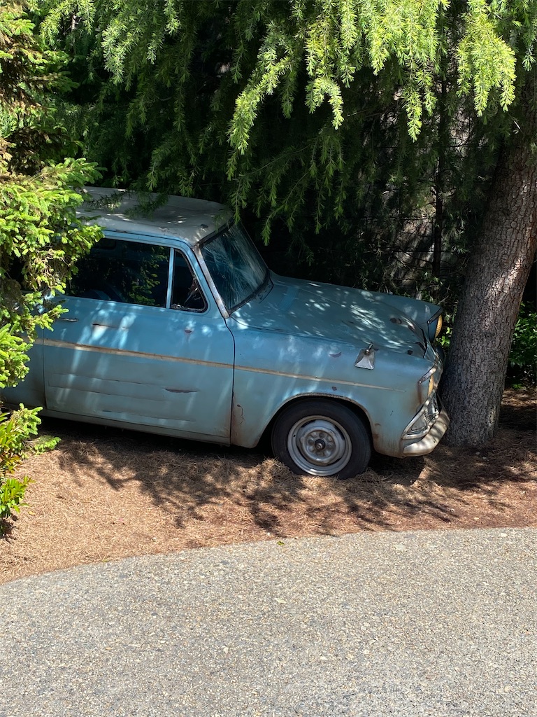 f:id:peanut05:20230806204159j:image