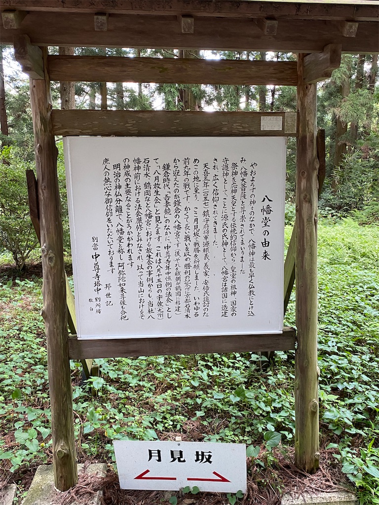 f:id:peanut05:20230903193128j:image