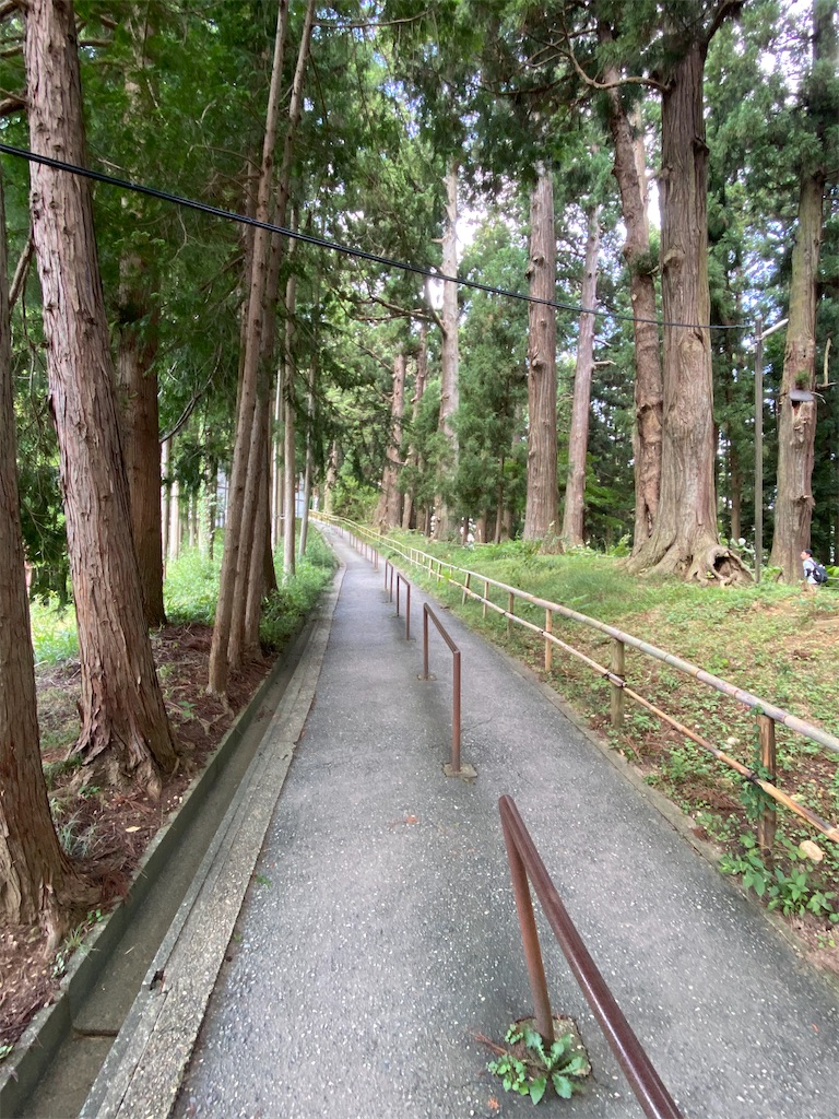 f:id:peanut05:20230903193131j:image