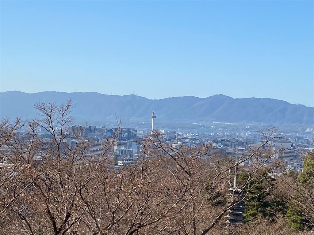 f:id:peanut05:20240105165524j:image