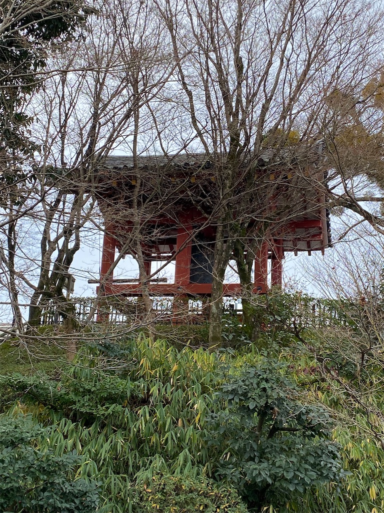 f:id:peanut05:20240105165816j:image