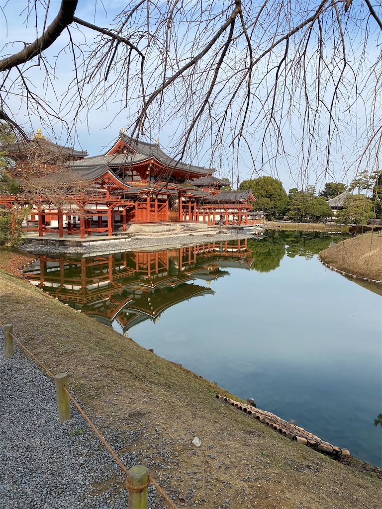 f:id:peanut05:20240105170420j:image