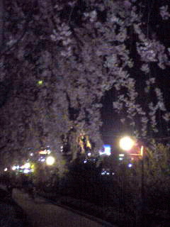 f:id:peanut_butter:20080407072236j:image f:id:peanut_butter:20080407072236j:image