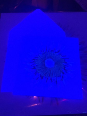 f:id:peanut_butter:20170428211315j:image f:id:peanut_butter:20170428211315j:image