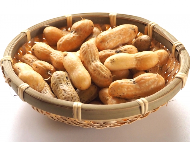 f:id:peanuts314:20211103111057j:plain