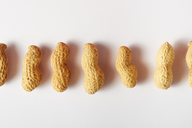 f:id:peanuts314:20211103111128j:plain