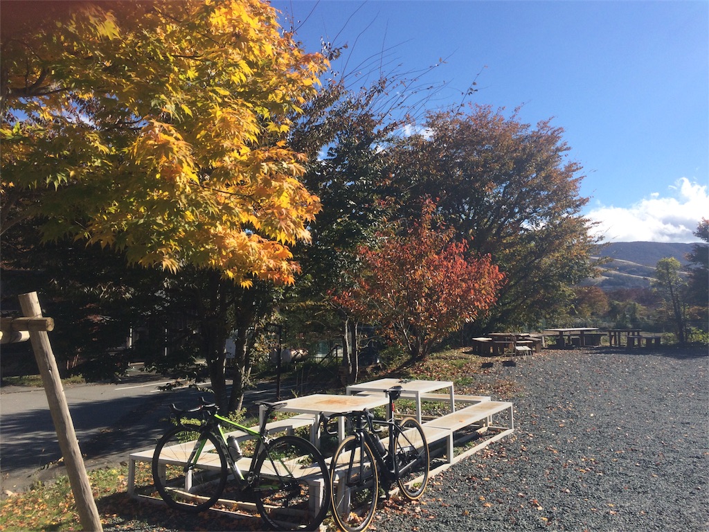 f:id:pearlkoizumi:20161104091601j:image f:id:pearlkoizumi:20161104091601j:image