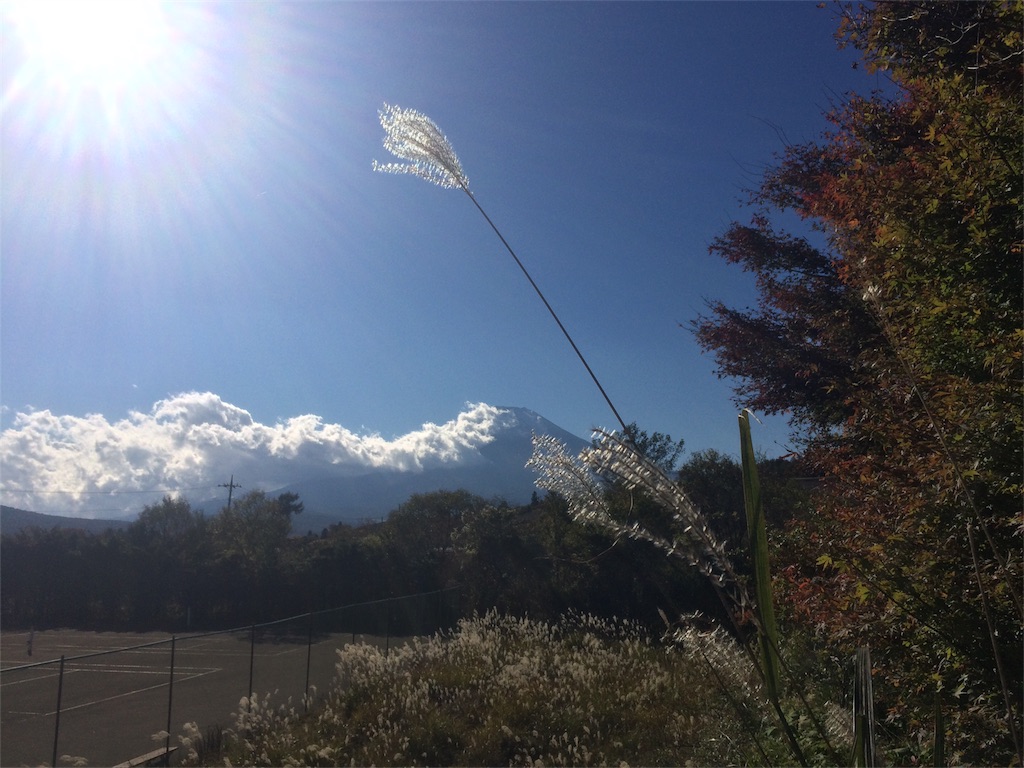 f:id:pearlkoizumi:20161104091648j:image f:id:pearlkoizumi:20161104091648j:image