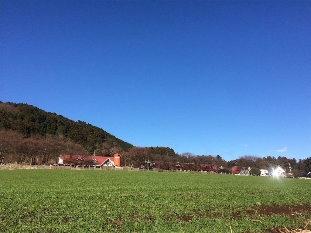 f:id:pearlkoizumi:20161227002020j:image f:id:pearlkoizumi:20161227002020j:image