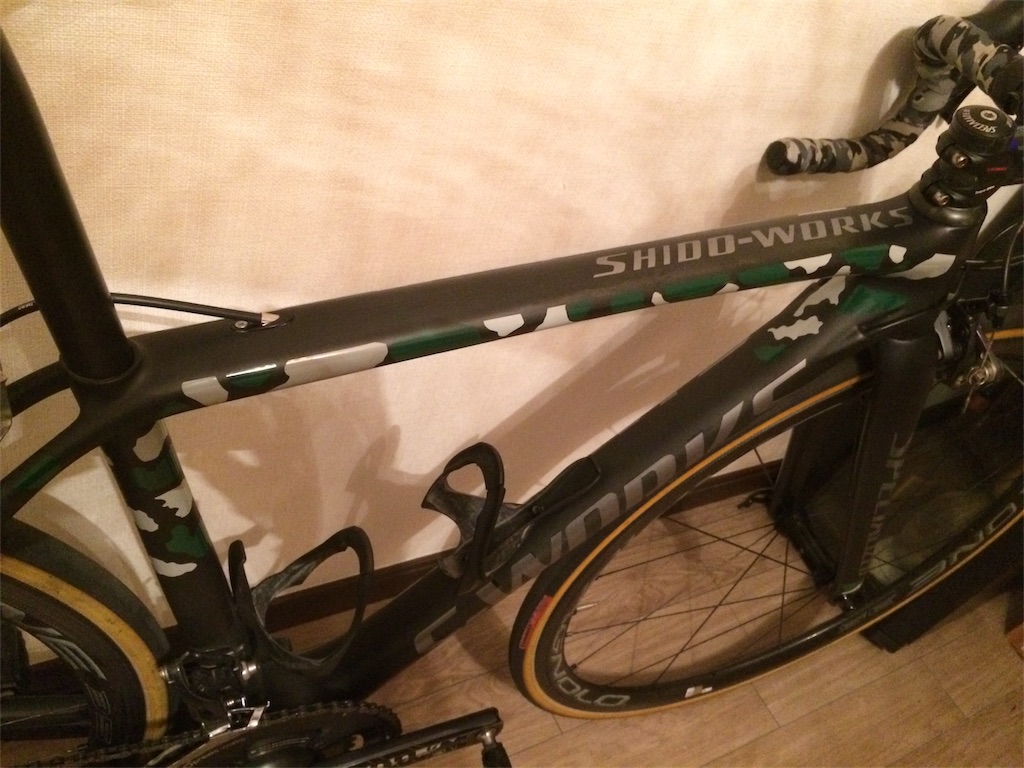 f:id:pearlkoizumi:20161229102514j:image