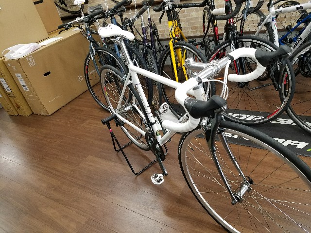 RALEIGH CRN 購入！始めたキッカケ。(過去編) - マメとニンジン