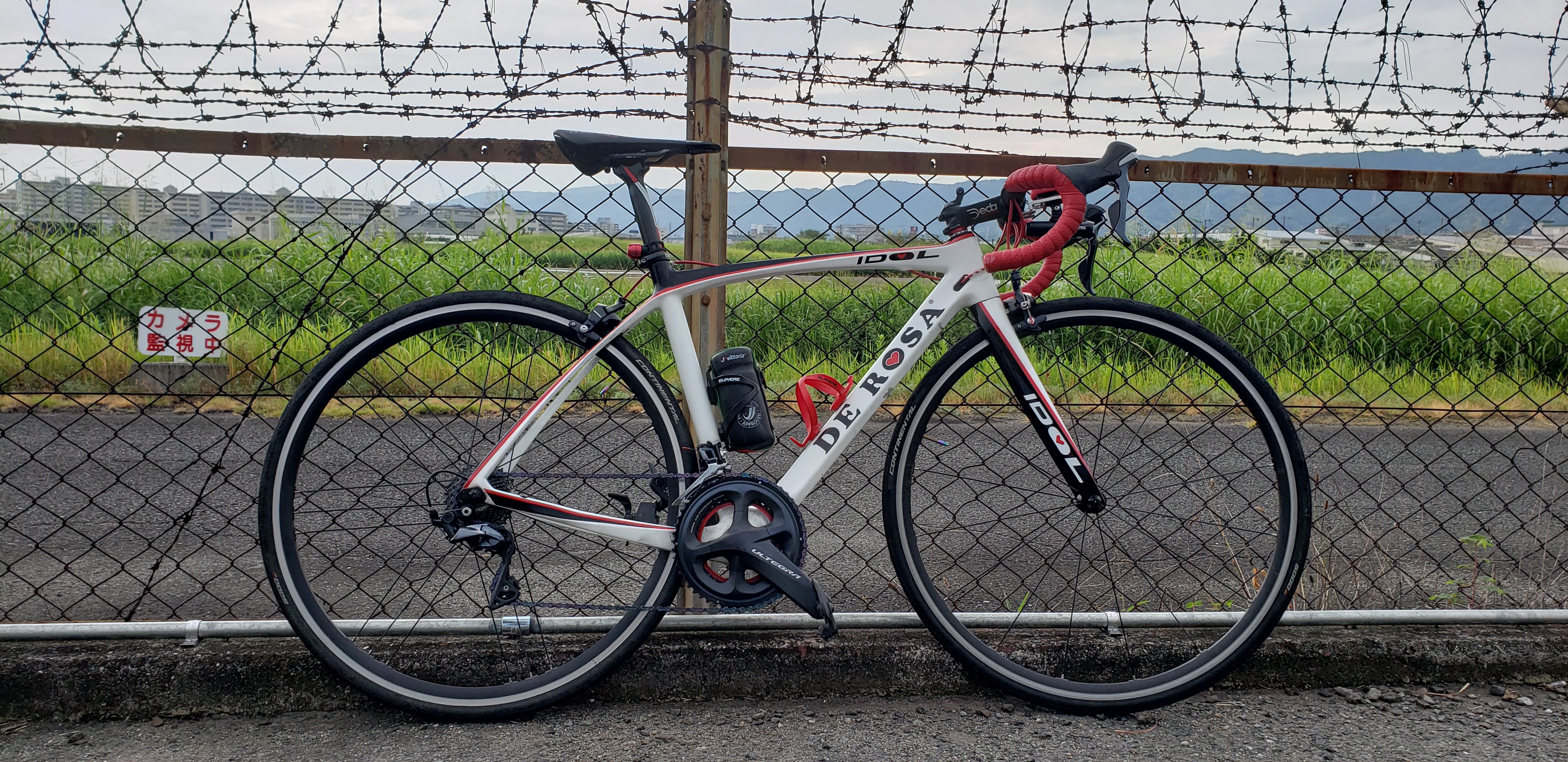 f:id:peasandcarrots:20200911123610j:plain:w400