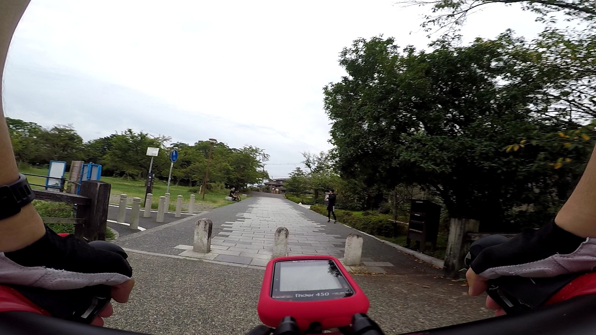 f:id:peasandcarrots:20201005055219j:plain:w400