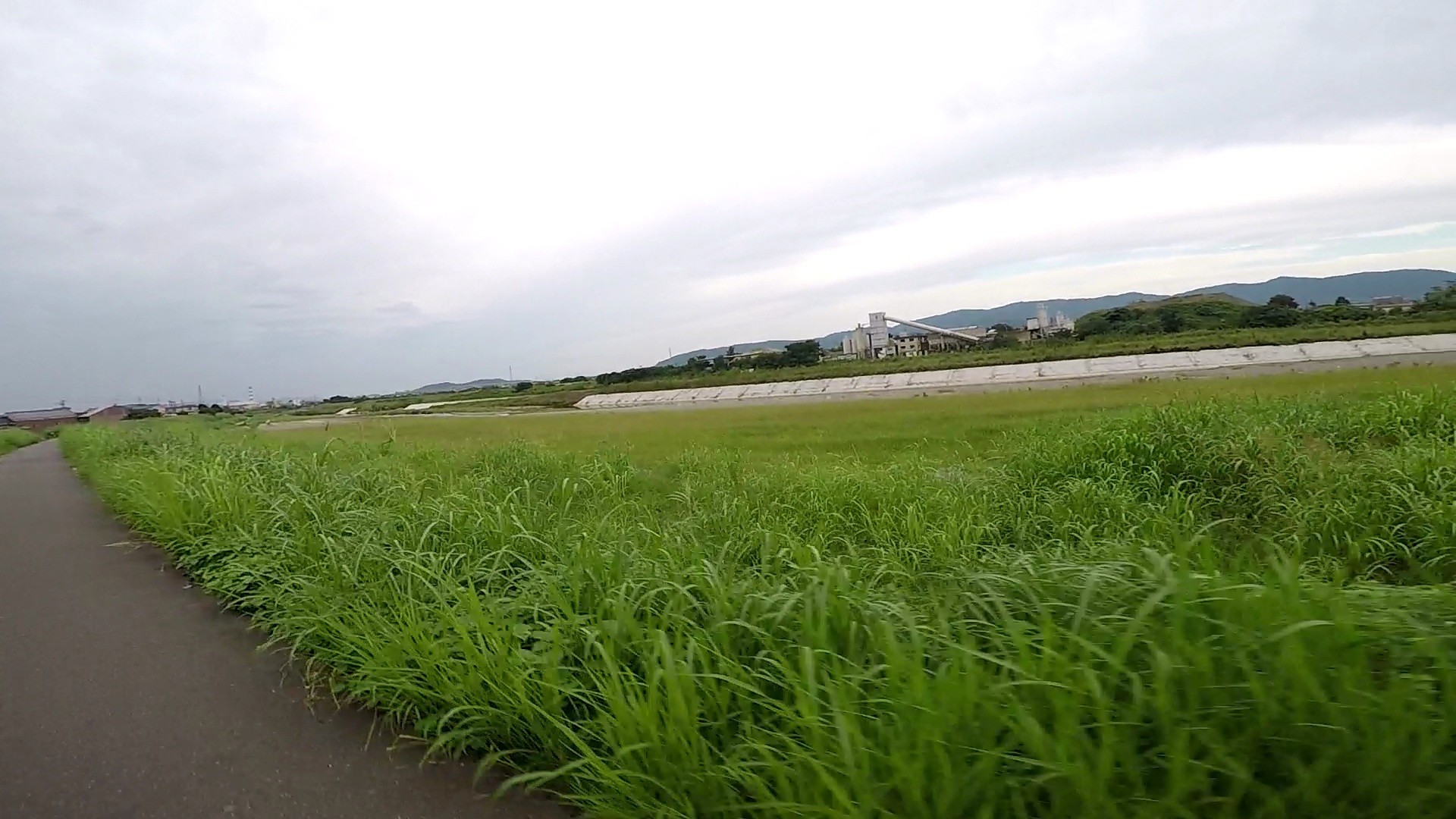 f:id:peasandcarrots:20201005055300j:plain:w400