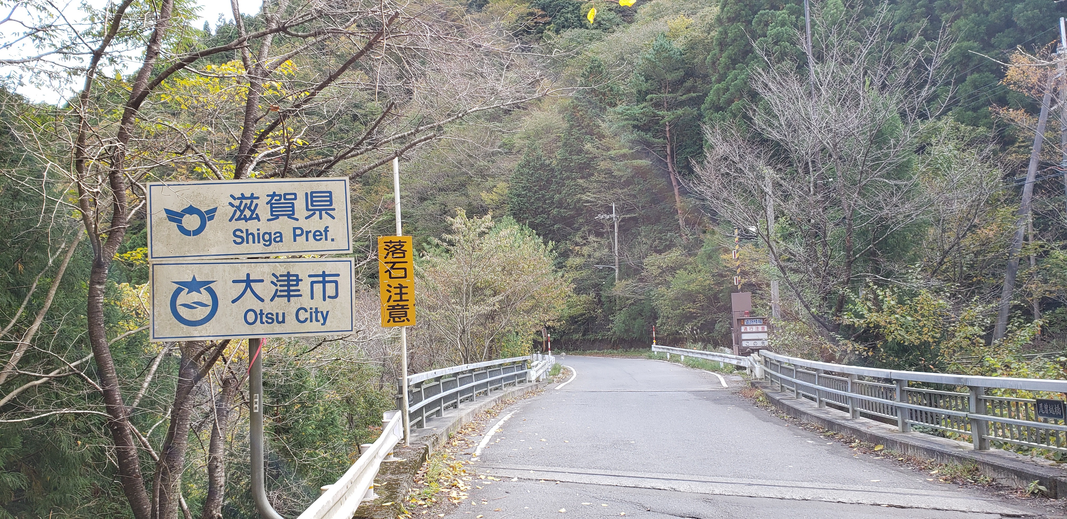 f:id:peasandcarrots:20201110100818j:plain:w400