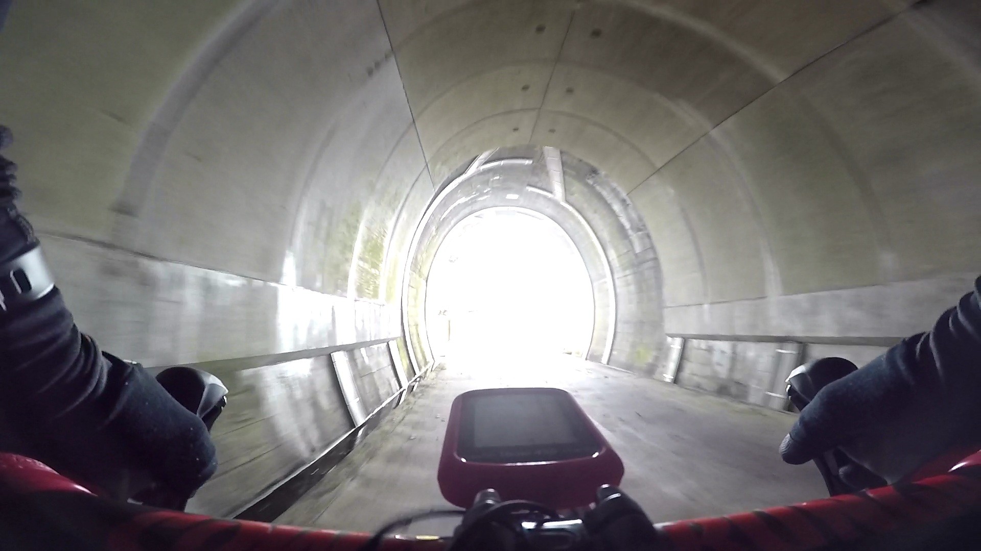 f:id:peasandcarrots:20201113055323j:plain:w400