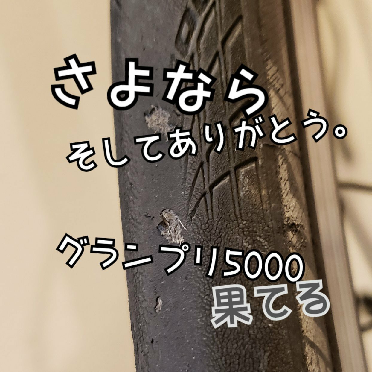 Continental Grand Prix 5000(25c) 果てる… - マメとニンジン