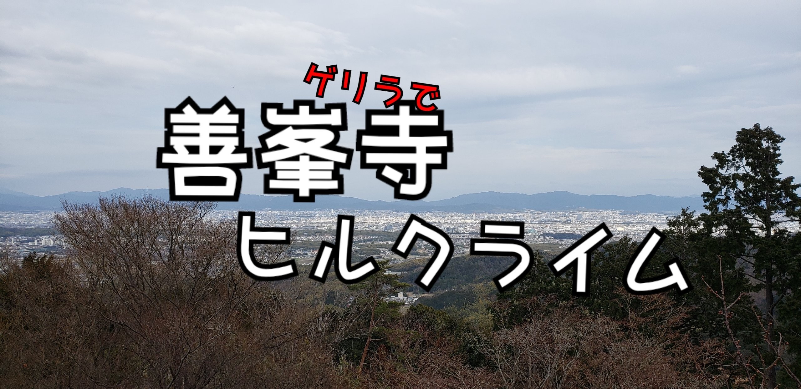 f:id:peasandcarrots:20210302122802j:plain:w400