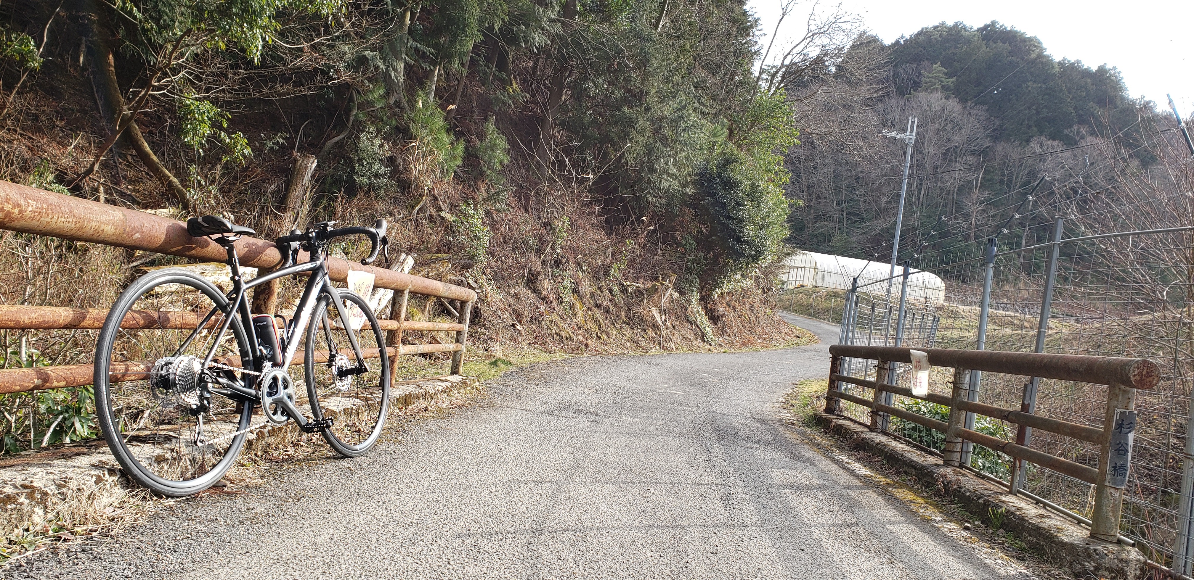 f:id:peasandcarrots:20210309055939j:plain:w400