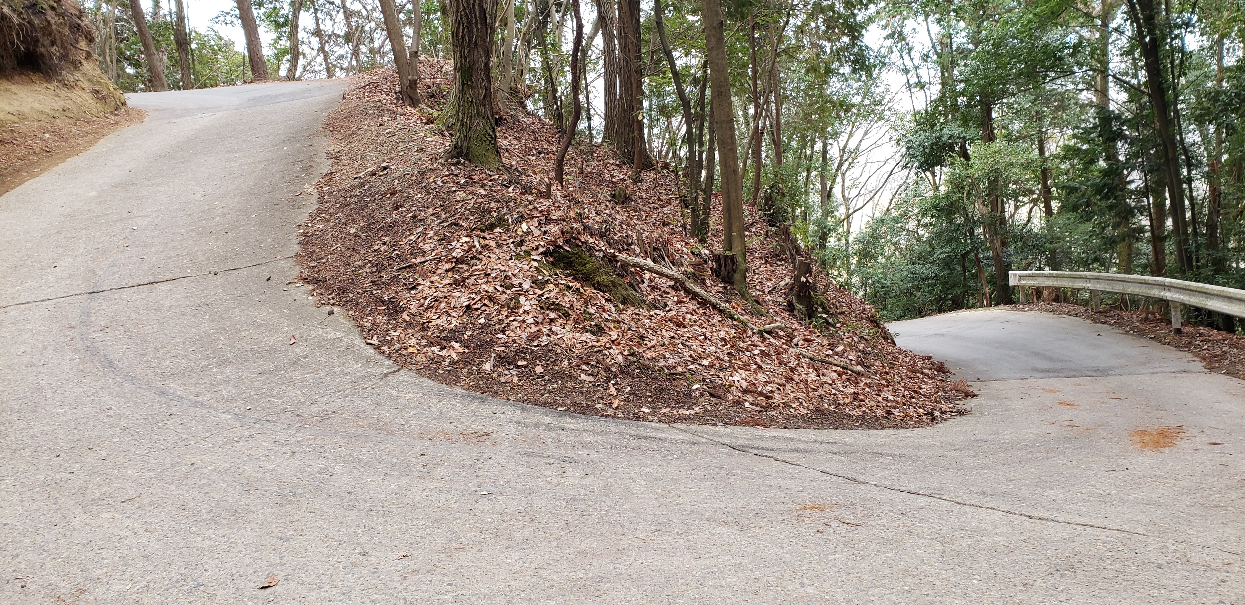 f:id:peasandcarrots:20210309060804j:plain:w400