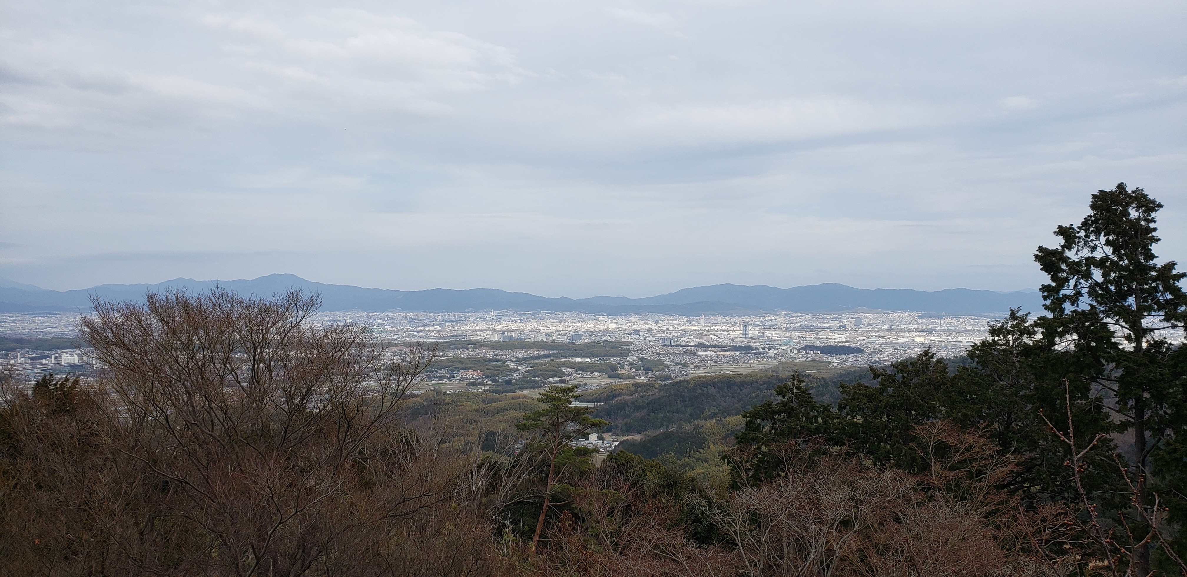 f:id:peasandcarrots:20210309122422j:plain:w400