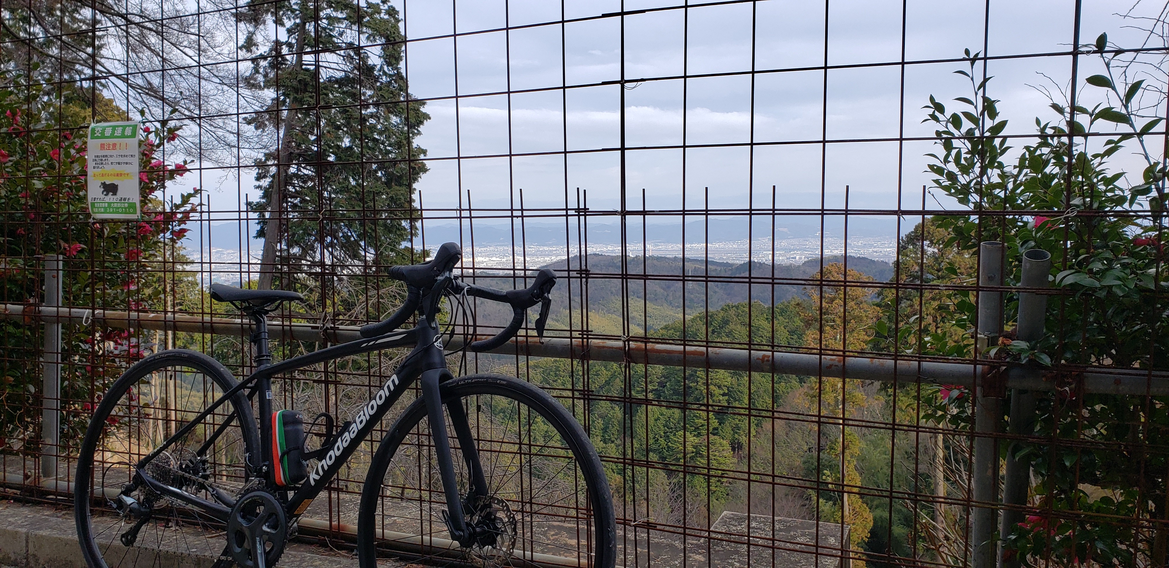 f:id:peasandcarrots:20210309122648j:plain:w400